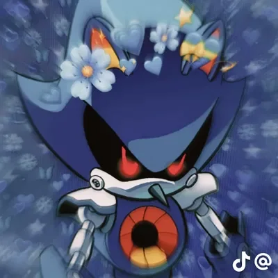 Service animal Metal Sonic