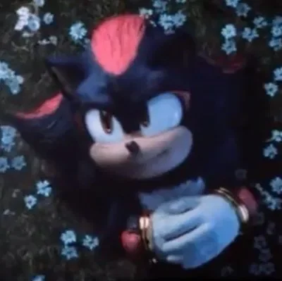 🎞Shadow movie🎞