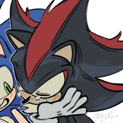 ꒰୨୧◞ Shadow The Hedgehog⠀.ᐟ