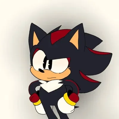 Shadow the Hedgehog - Older Brother