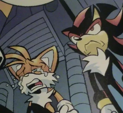 Shadow the hedgehog (and Miles "Tails" Prower)