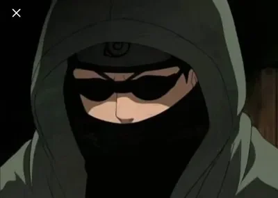Shino aburame