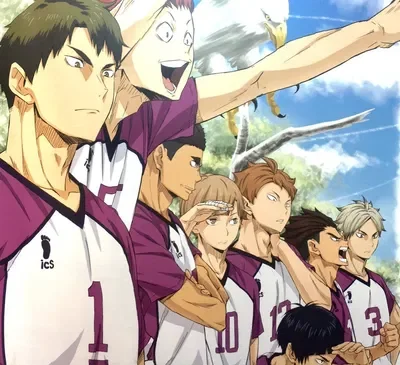 Shiratorizawa Team!