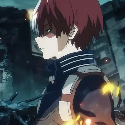 Shoto todorki
