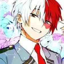 Shoto Todoroki.
