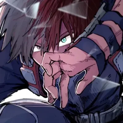 shoto todoroki