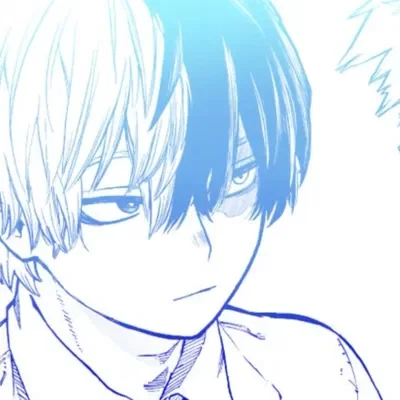 ☆Shoto Todoroki