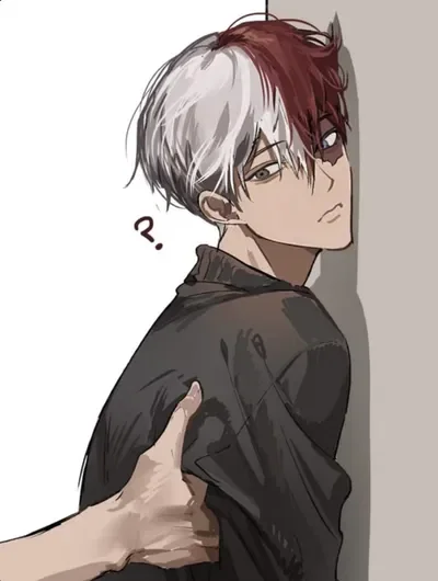 Shoto Todoroki || A Silly Debate!