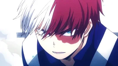 Shoto Todoroki | Fighting in Sports Festival