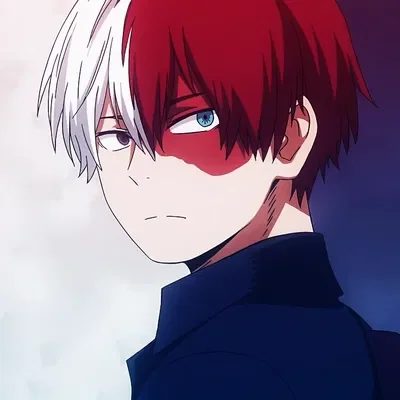 Shoto Todoroki | Oblivious