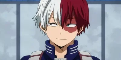 Shoto Todoroki (SH COMFORT)