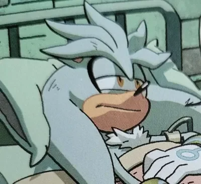 Silver The Hedgehog - Sick