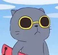 Skateboard Cat
