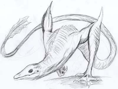 Skullcrawler