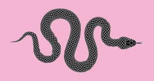 Snakes