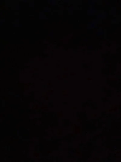 Snowball, Halloween, Syphe, and Fly