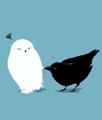 Snowy Owl and Crow