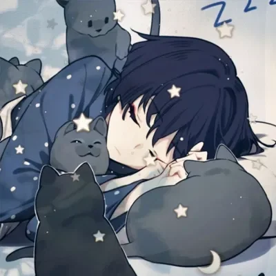 ♡ | SNUGGLED UP W/ CATS