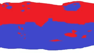 Socialist Perspective