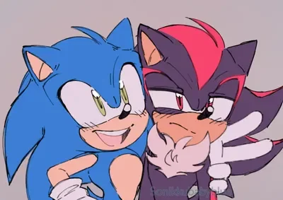 Sonic and Shadow the hedgehogs