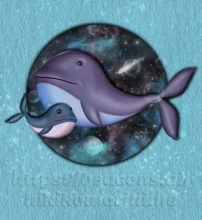 Space Conservationist Crusade