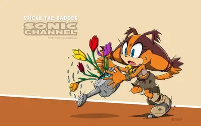 💛 Sticks The Badger. -Sonic The Hedgehog.-