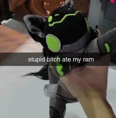 Stupid Fucking Announcement (SFA)