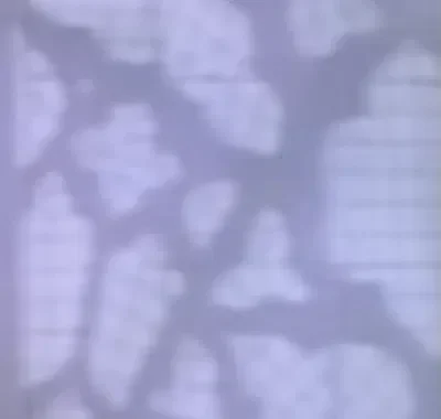 Suggestions, Comments, And Questions.