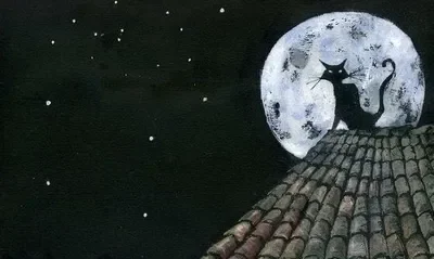 Suzu Miyashita