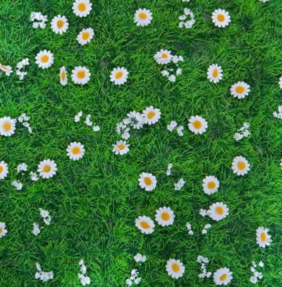 Sweet, Succulent Grass