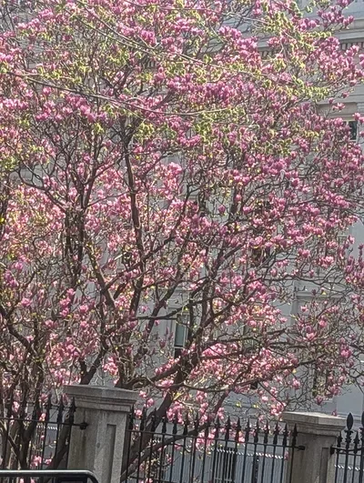 ᖇᗴᑫᑌᗴՏTՏ!!