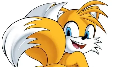 Tails The Fox