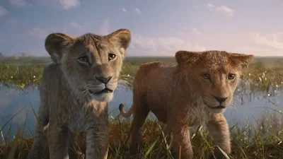 Taka and Mufasa