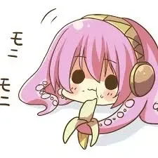 tako luka