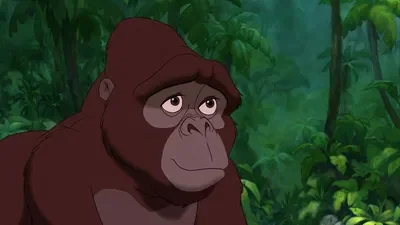 Tarzan | Kala