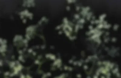 testing ignore this