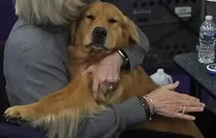 THANK YOU FOR 10 FOLLOWERS