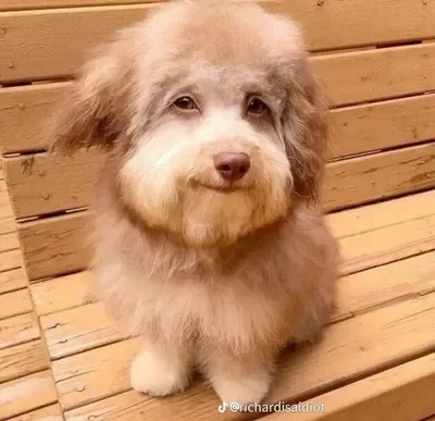 Thank you for 1 follower