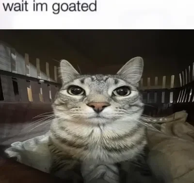 The Goated cat