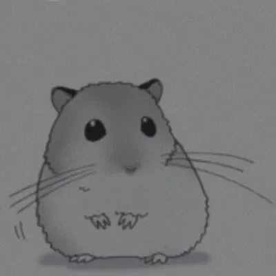 .☘︎ ݁˖. ݁₊ ⊹ . ݁˖ . ݁₊˚. The Hampter