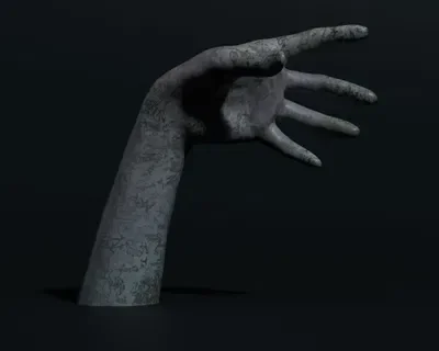 The hand