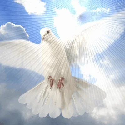The Holy Ghost