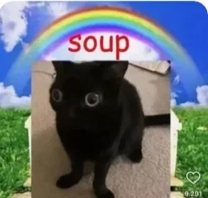 the SOUP gc