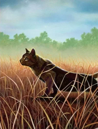 ThunderClan