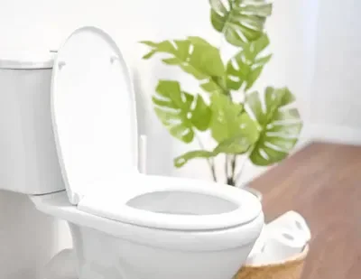 toilet who can fuck you