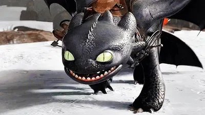 🐲|Toothless and Hiccup|🐲 (HTTYD)