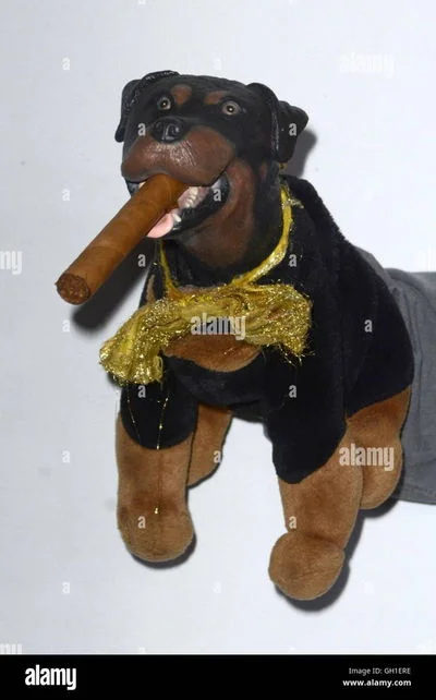 Triumph the insult comic dog