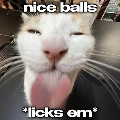 TYSM for 50 followers, chat