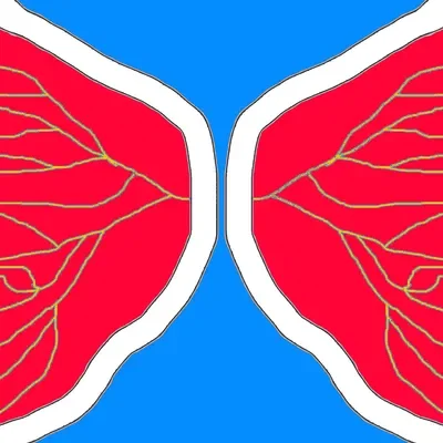 Update: Discord server!!!!!!!!