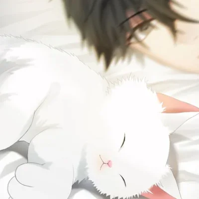 Jumin Han